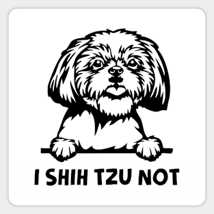 I Shih Tzu Not Magnet